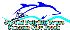 Dolphin Tours - Dolphin Watching Jet Ski & Boat Tours