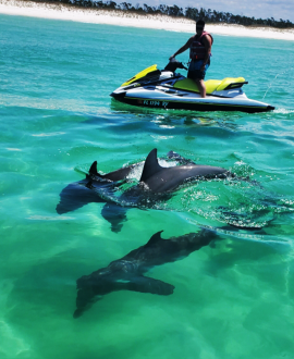 Jet Ski Tours